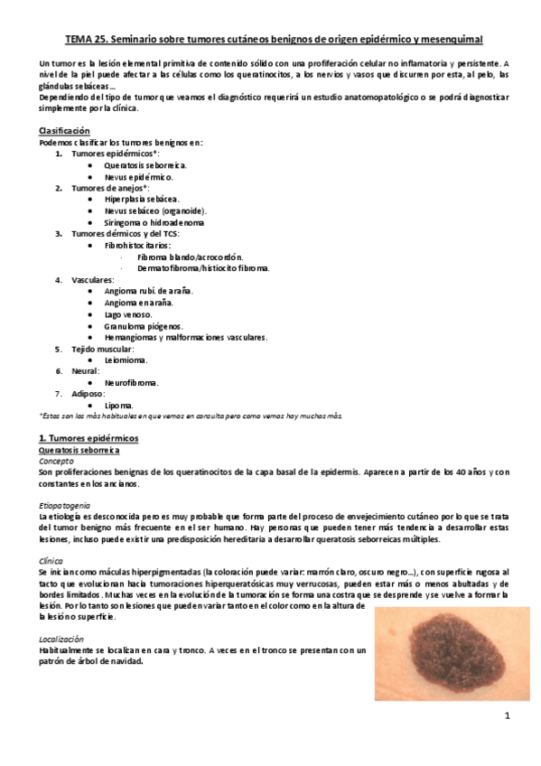 Miniatura del documento Tema 25. Seminario. Tumores cutáneos benignos.pdf