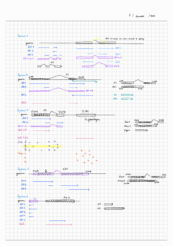 Miniatura del documento Ejercicios-anotacion.pdf