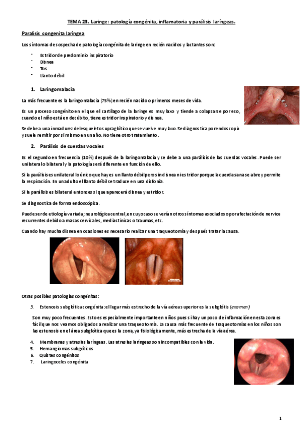 Miniatura del documento Tema 23. Laringe.pdf