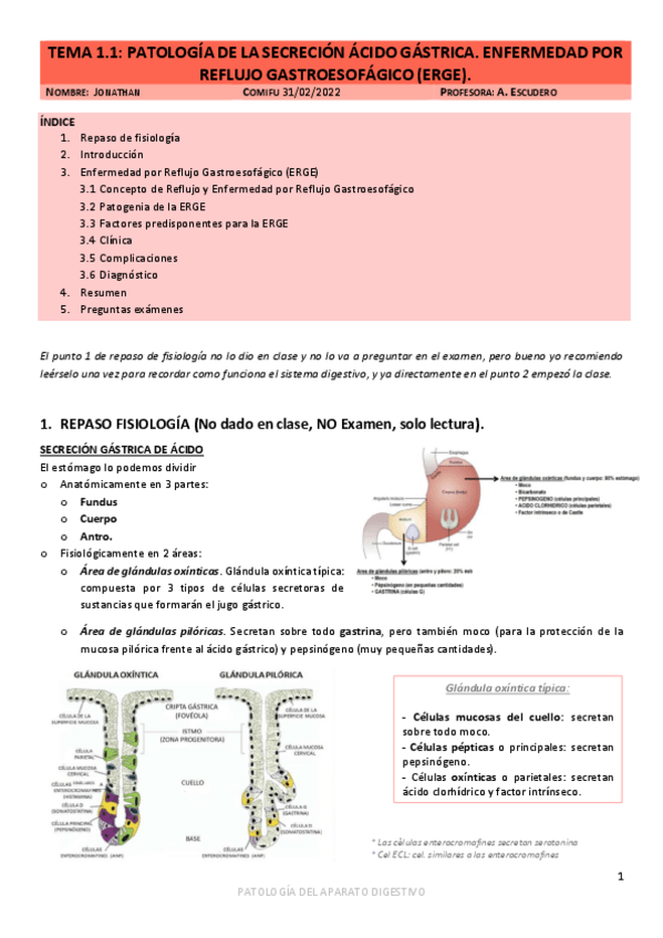 Miniatura del documento Digestivo-COMIFU.pdf