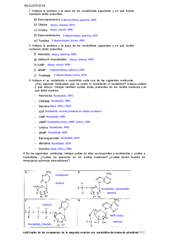 Miniatura del documento NUCLEOTIDOS-PREGUNTAS.pdf