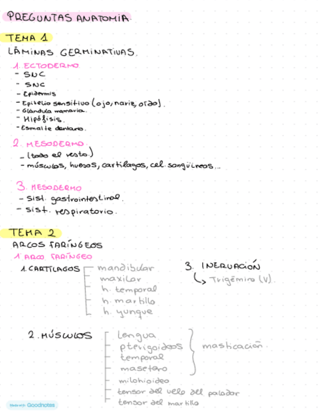 Miniatura del documento Preguntas-Anatomia.pdf