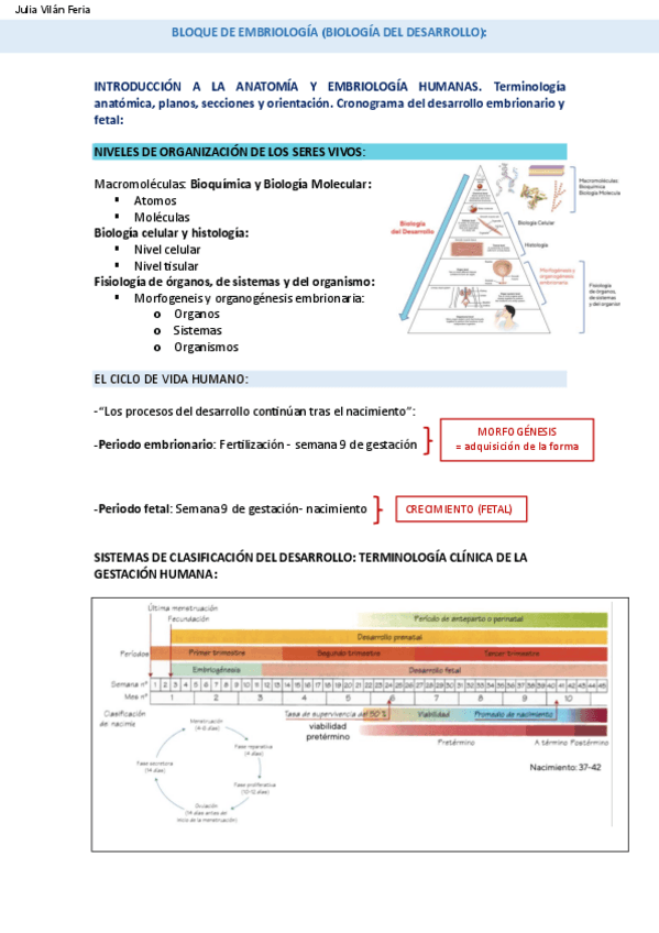 Miniatura del documento T.1.pdf
