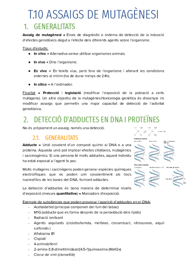 Miniatura del documento T.10-ASSAIGS-DE-MUTAGENESI.pdf