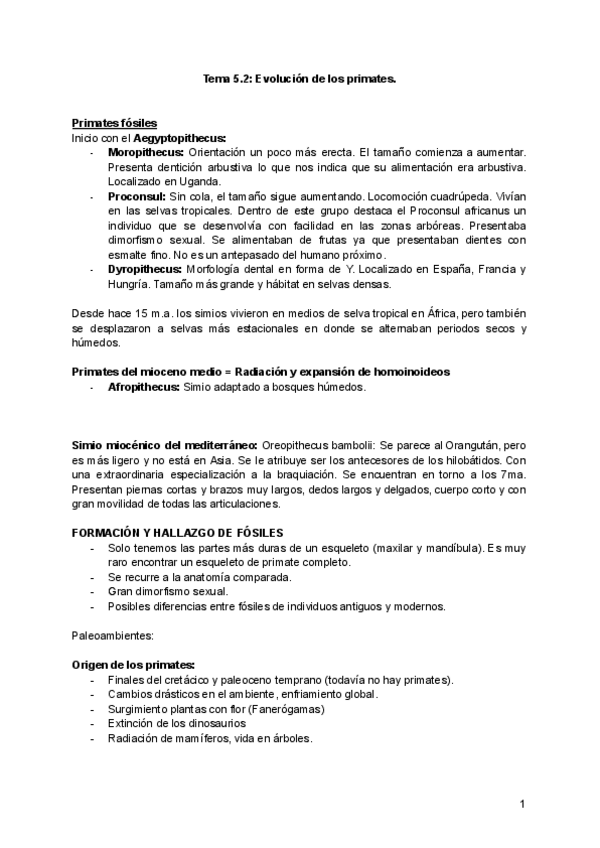 Miniatura del documento Tema-5.2-Evolucion-de-los-primates..pdf