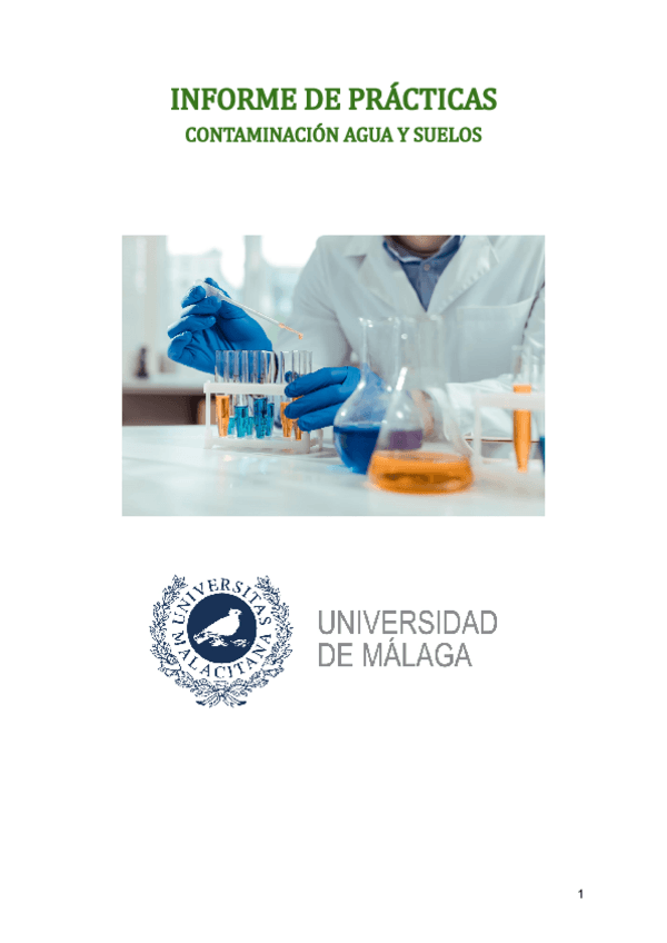 Miniatura del documento INFORME-DE-PRACTICAS.pdf