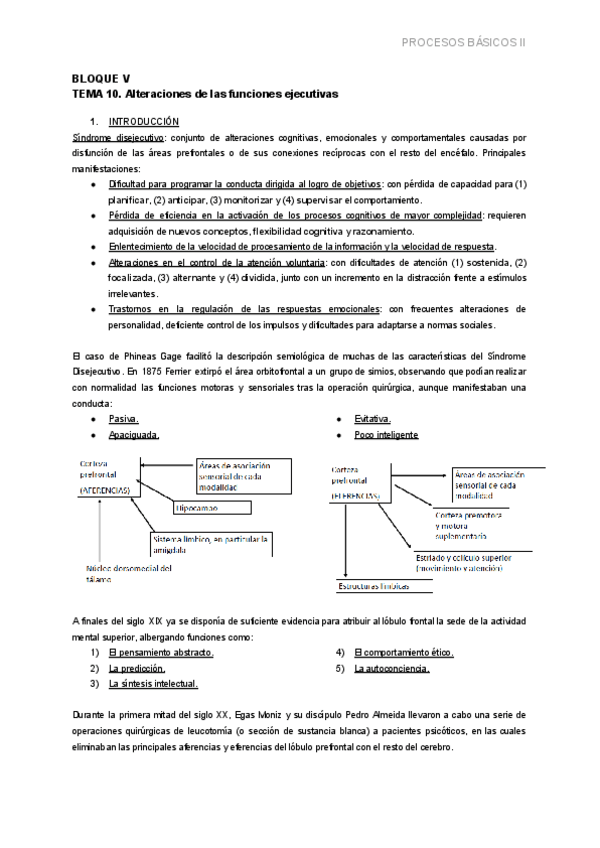 Miniatura del documento BLOQUE-V.-TEMA-10.-ALTERACIONES-DE-LAS-FUNCIONES-EJECUTIVAS.pdf
