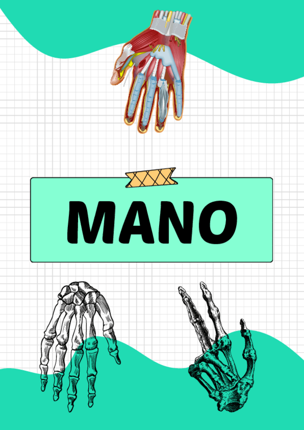 Miniatura del documento Mano.pdf