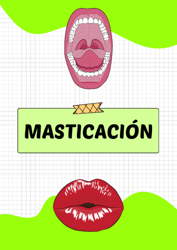 Miniatura del documento Masticacion.pdf
