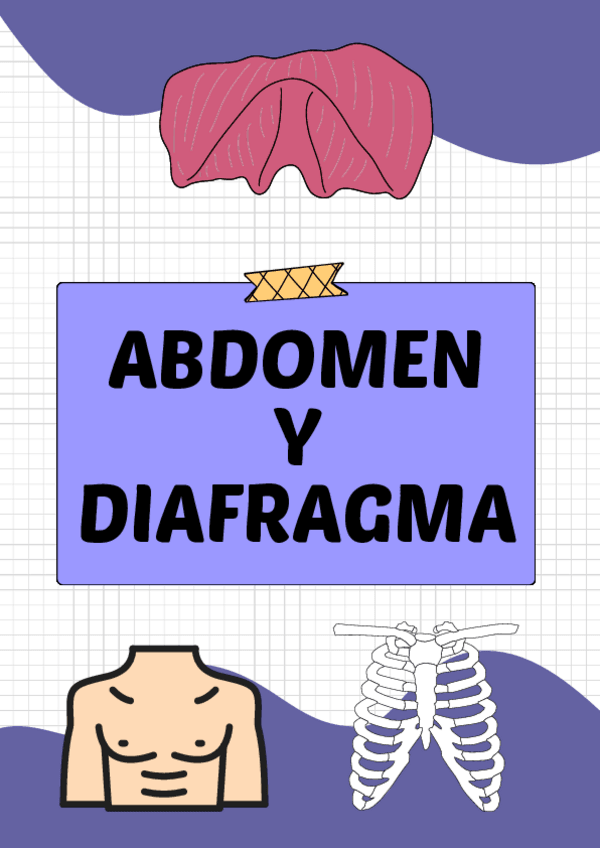 Miniatura del documento Abdomen-y-Diafragma.pdf