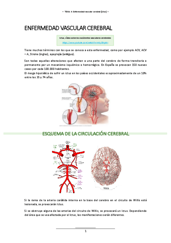 Miniatura del documento T.4 (Enfermedad vascular cerebral) - ALT. LENGUAJE II.pdf