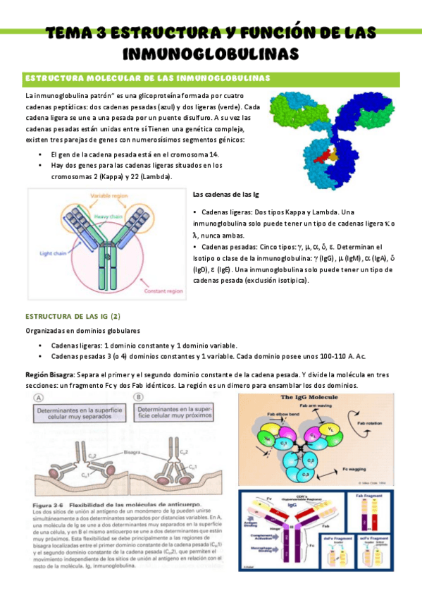 Miniatura del documento Inmunologia-T3.pdf