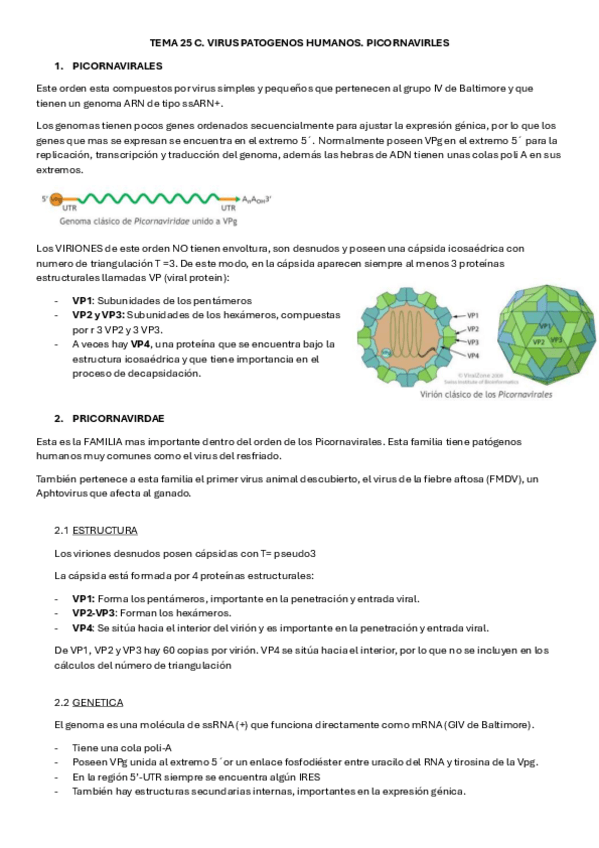 Miniatura del documento TEMA-25C-MICRO.pdf