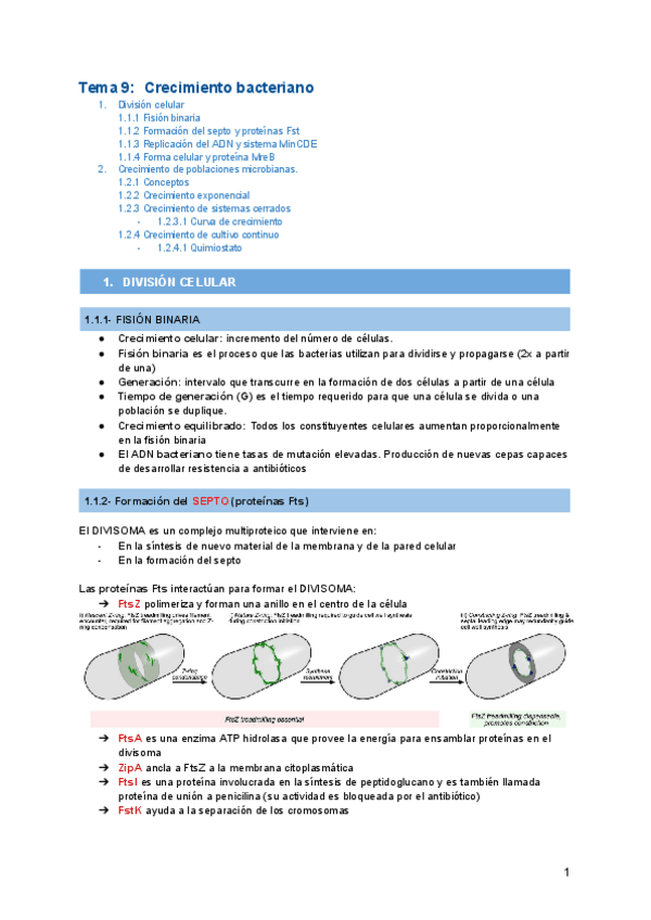Miniatura del documento Tema-9-Crecimiento-bacteriano.pdf