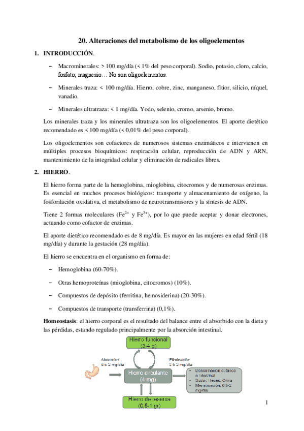 Miniatura del documento 20.-Alteraciones-del-metabolismo-de-los-oligoelementos.pdf