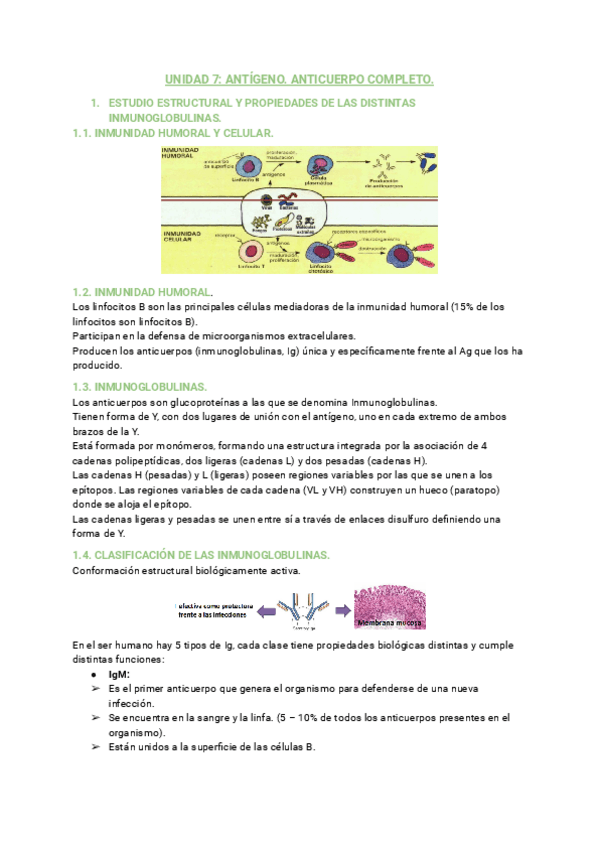 Miniatura del documento UNIDAD-7.pdf