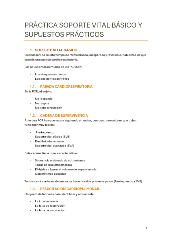 Miniatura del documento PRACTICA-RCP-CASIMIRO-23-24.pdf