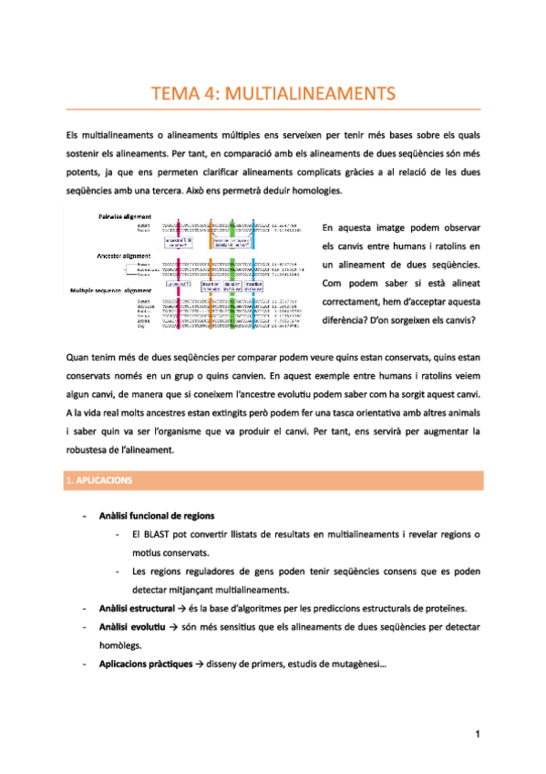Miniatura del documento Tema-4-Multialineaments.pdf