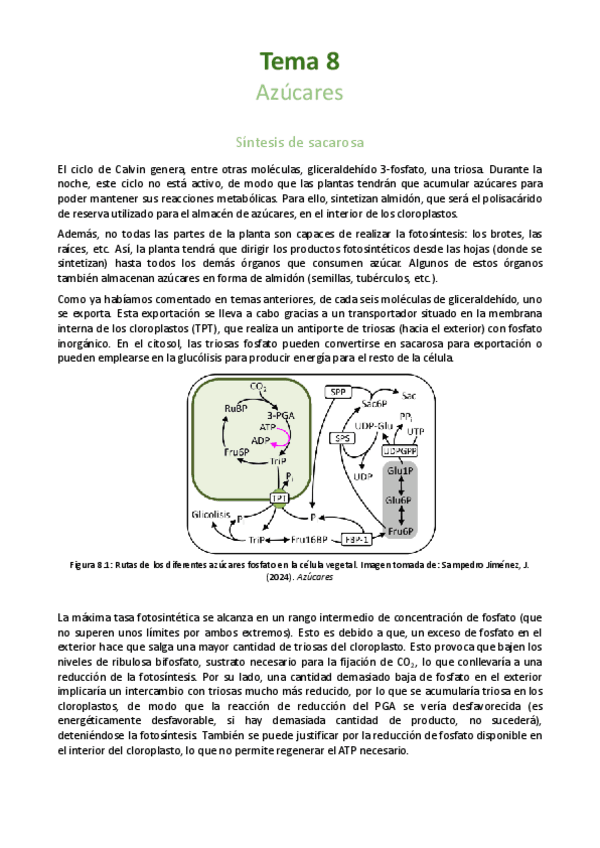 Miniatura del documento Tema-8-Azucares.pdf
