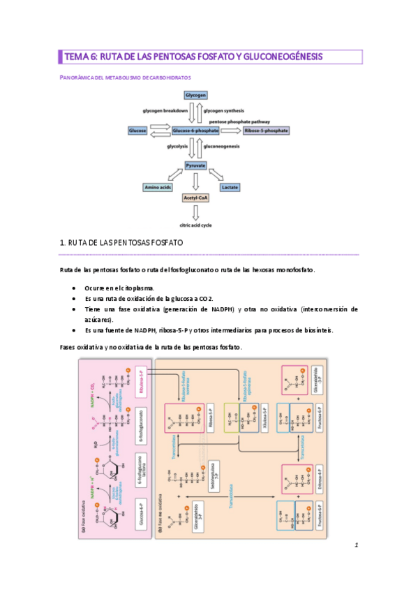 Miniatura del documento TEMA-6.pdf