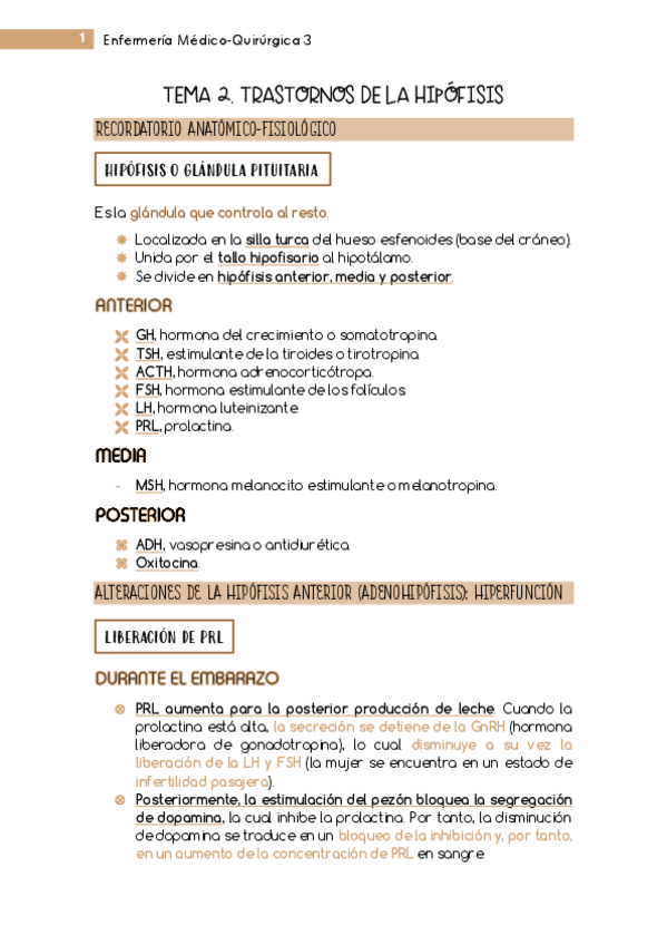 Miniatura del documento Tema-2-MQ3-Endocrino.pdf
