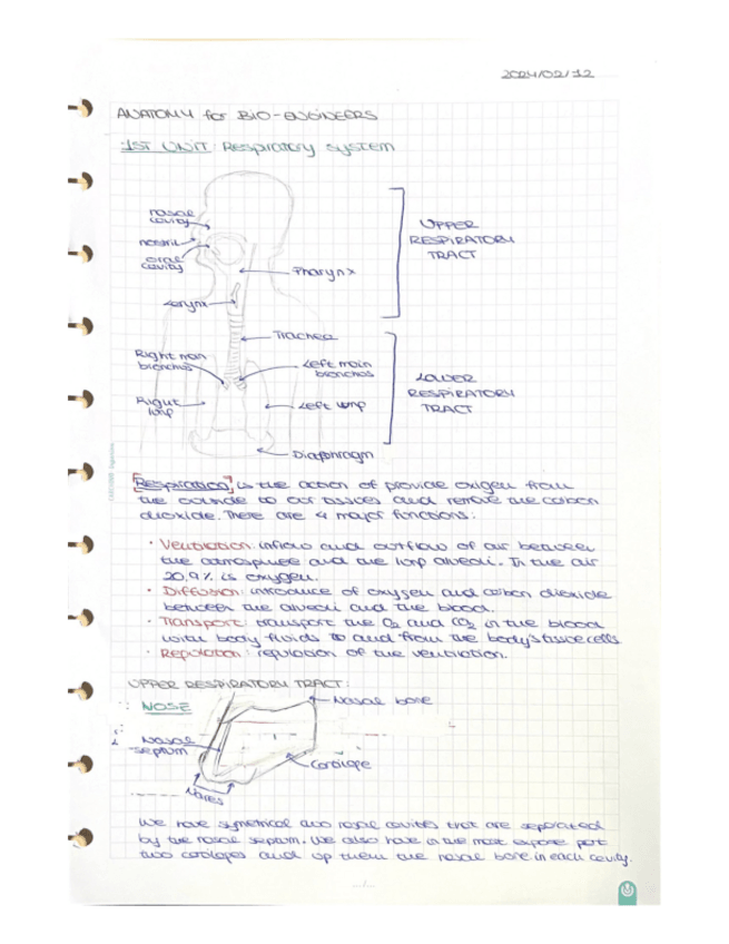 Miniatura del documento Anatomy-Unit-1-Respiratory-System.pdf
