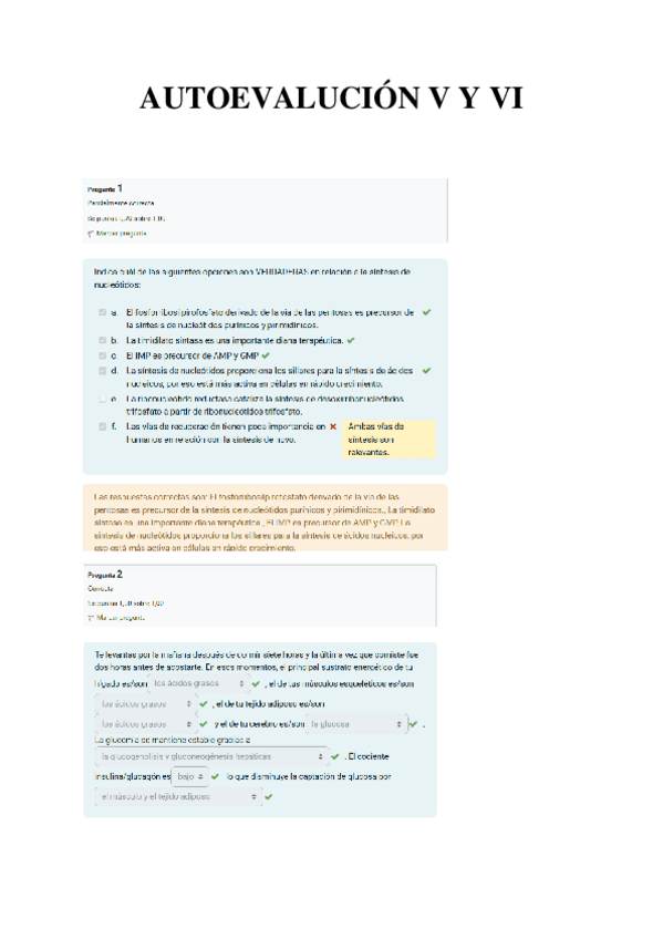 Miniatura del documento AUTOEVALUCION-V-Y-VI.pdf