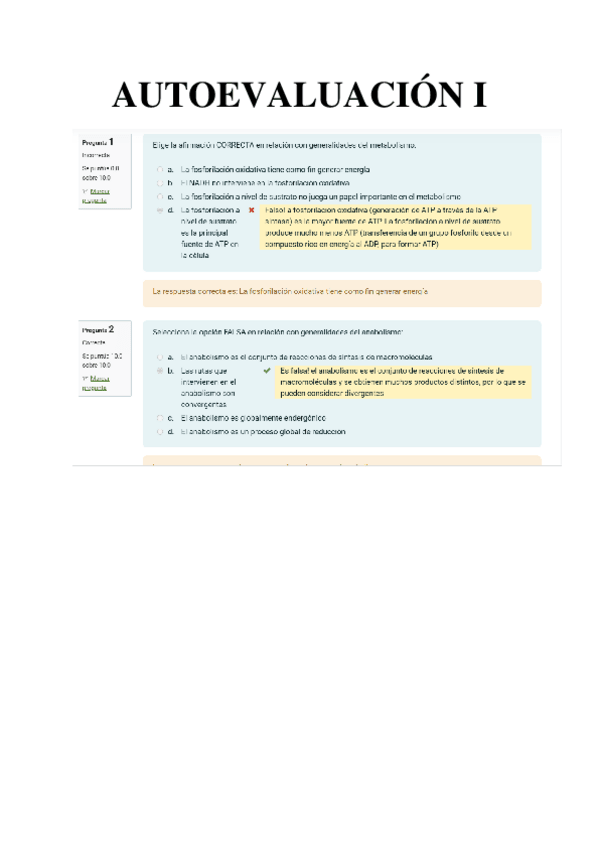 Miniatura del documento AUTOEVALUACION-I.pdf