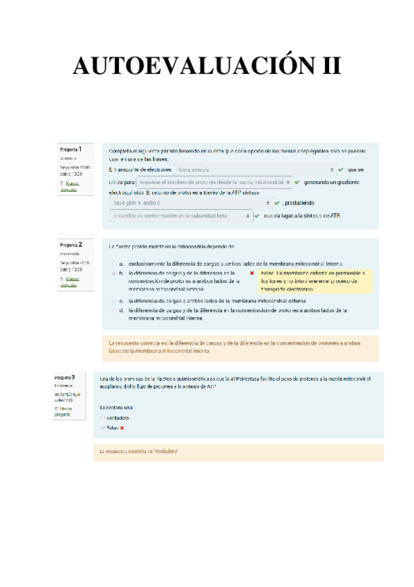 Miniatura del documento AUTOEVALUACION-II.pdf