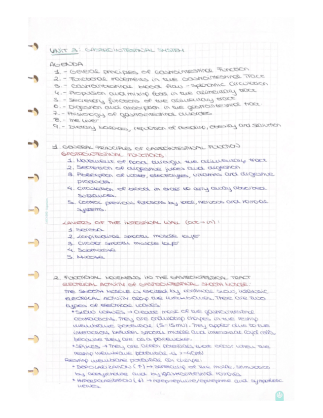 Miniatura del documento Physiology-Unit-3-Gastrointestinal-System.pdf