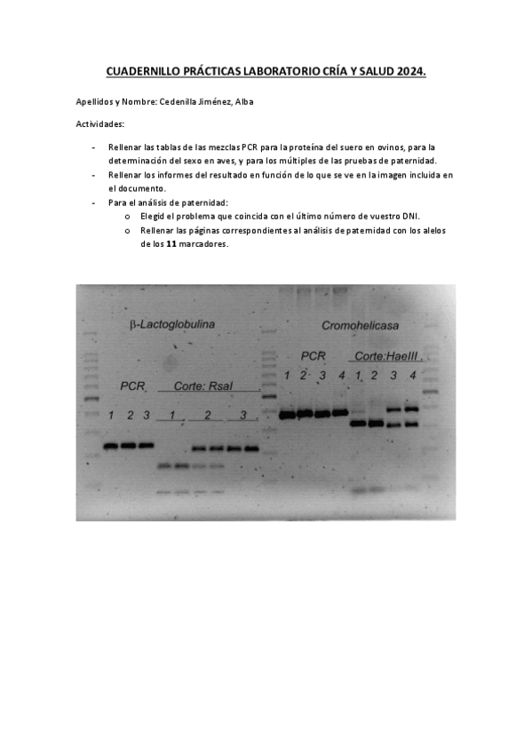 Miniatura del documento Cedenilla-JimenezAlbaPracticasLaboratorioCria24.pdf