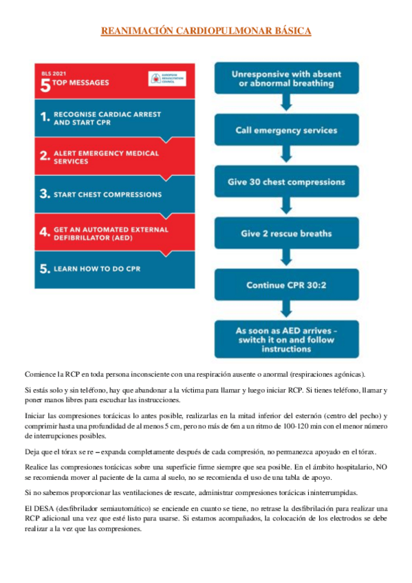 Miniatura del documento RCP.pdf