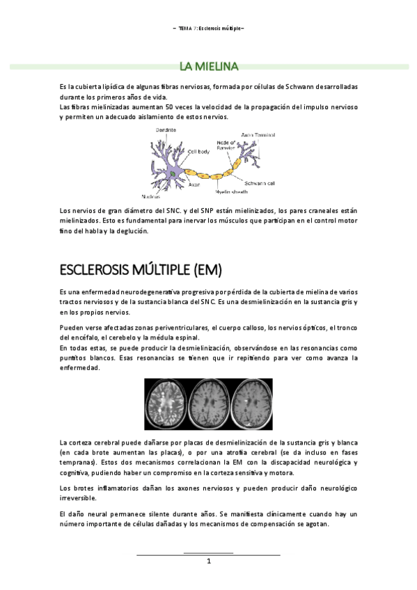 Miniatura del documento T.7 (Esclerosis Multiple) - ALT. LENGUAJE II.pdf