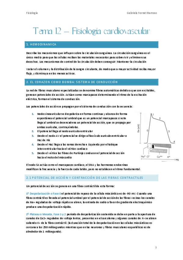 Miniatura del documento Tema-12-Fisiologia-cardiovascular.pdf