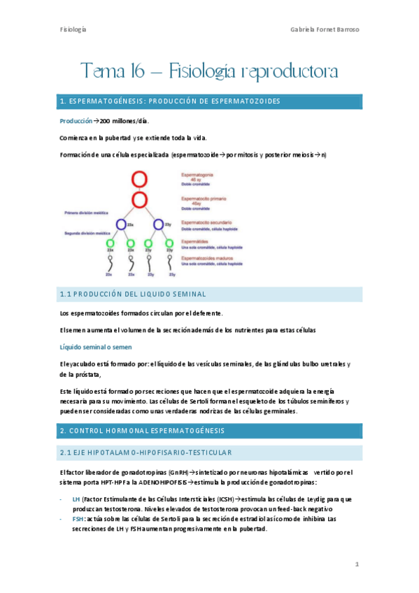 Miniatura del documento Tema-16-Fisiologia-reproductora.pdf