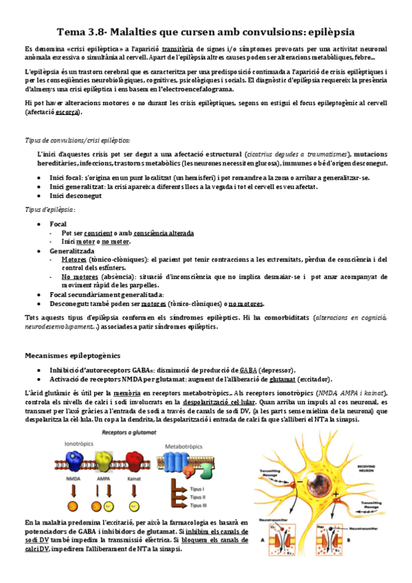 Miniatura del documento 3.8-Epilepsia.pdf