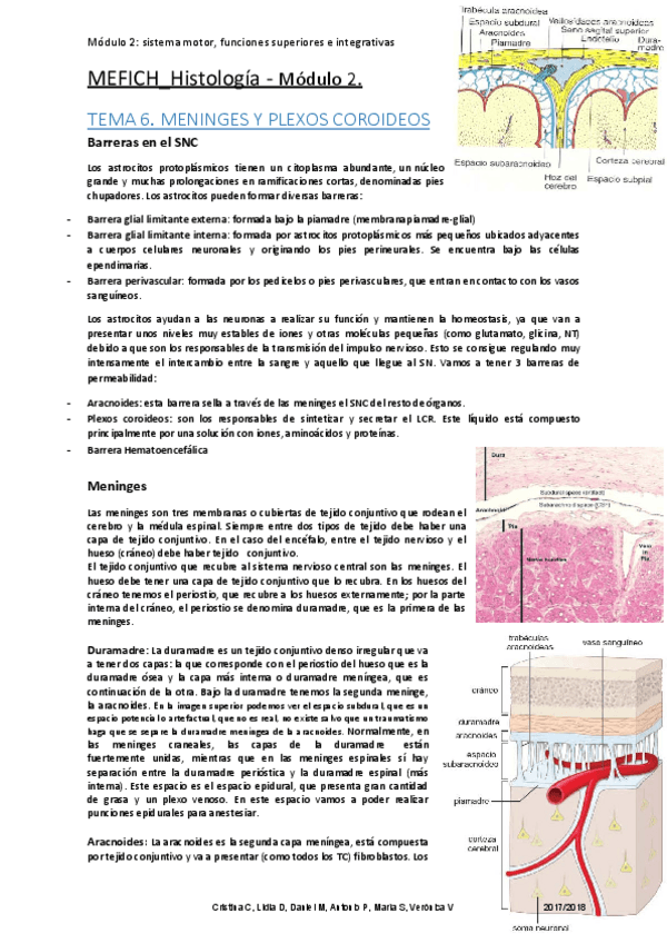 Miniatura del documento HISTOLOGIA MODULO 2.output.pdf
