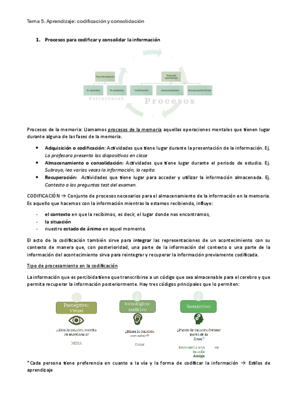 Miniatura del documento Tema-5.-Aprendizaje-Codificacion-y-consolidacion.pdf