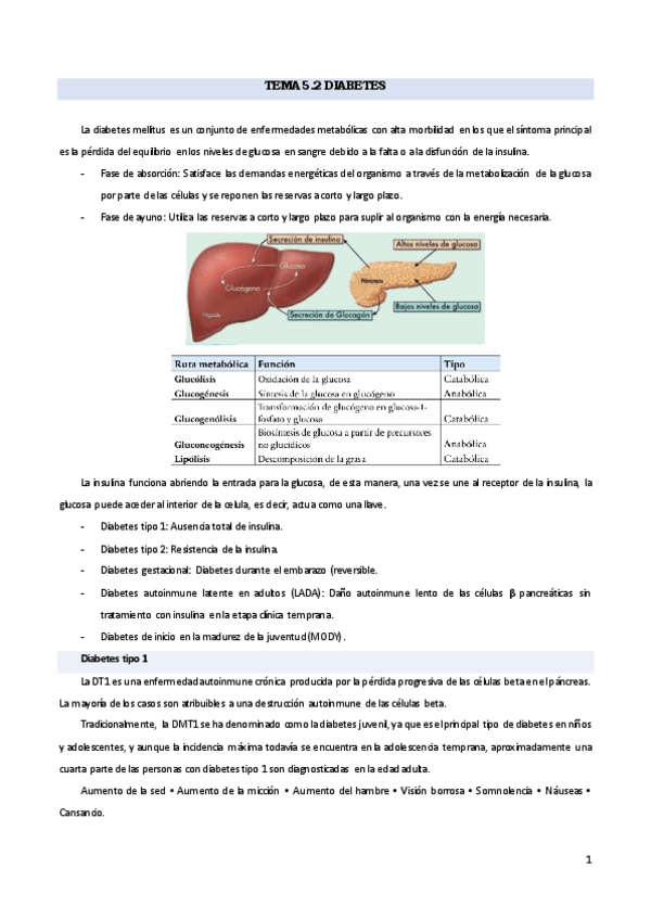 Miniatura del documento tema-5.2-y-5.3-diabetes-y-problemas-cardiovasculares.pdf