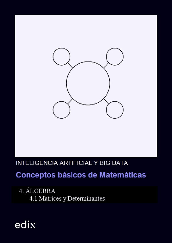 Miniatura del documento 4.1-Matrices-y-determinantes.pdf