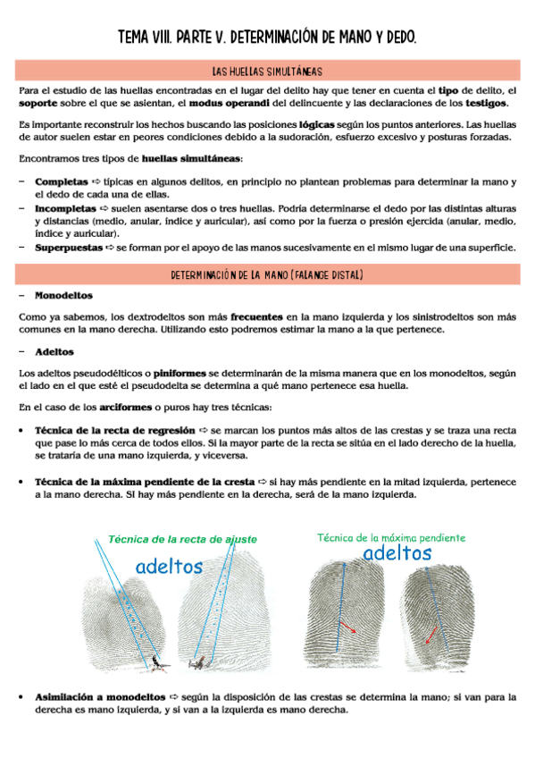 Miniatura del documento lofoscopia-T8.5.pdf