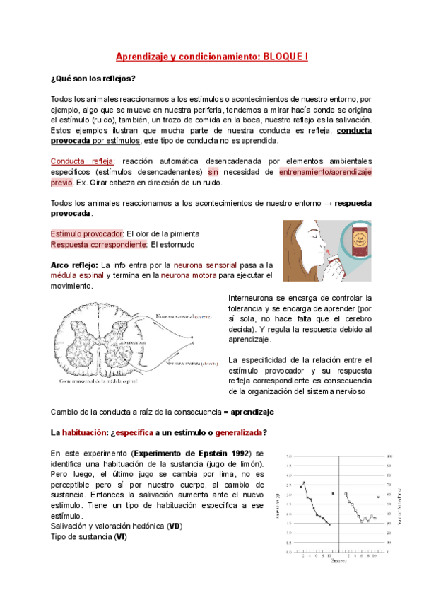 Miniatura del documento BLOQUE-I-AyC.pdf
