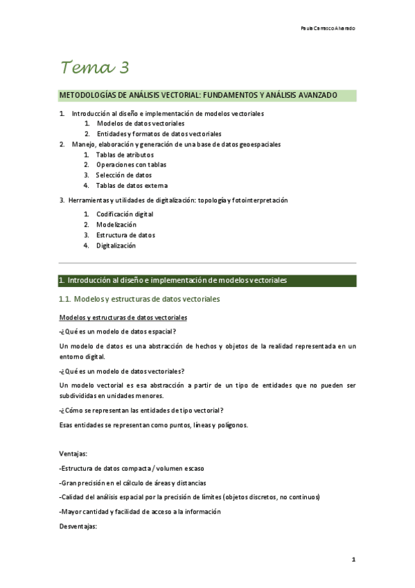 Miniatura del documento Tema-3-SIG-2024.pdf