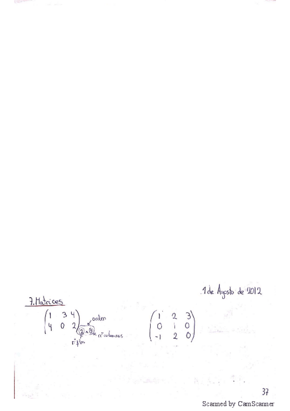 Miniatura del documento Apuntes con ejemplos (Matemáticas I).pdf