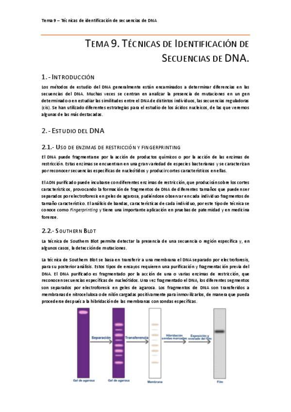 Miniatura del documento Tema 9.pdf