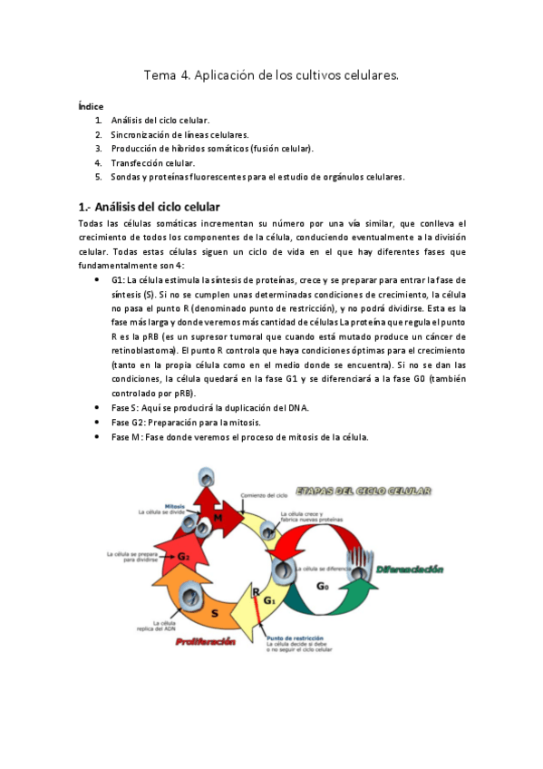 Miniatura del documento Tema 4.pdf