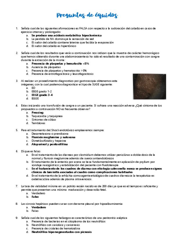 Miniatura del documento Preguntas-EXAMEN-CABALLOS.pdf