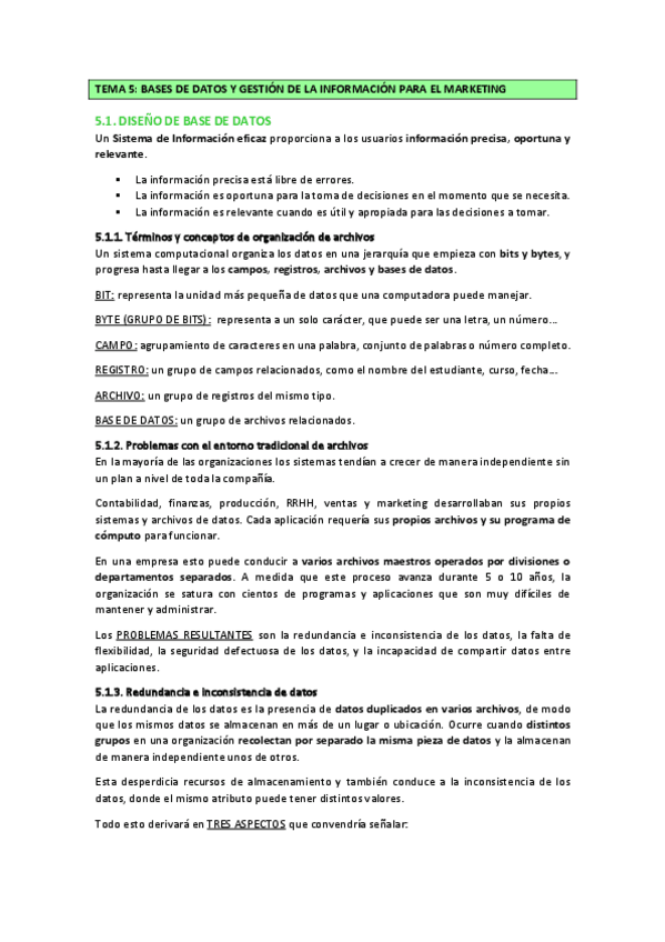 Miniatura del documento Tema-5-marketing-sistemas-de-informacion-y-automatizacion-basada-en-datos.pdf