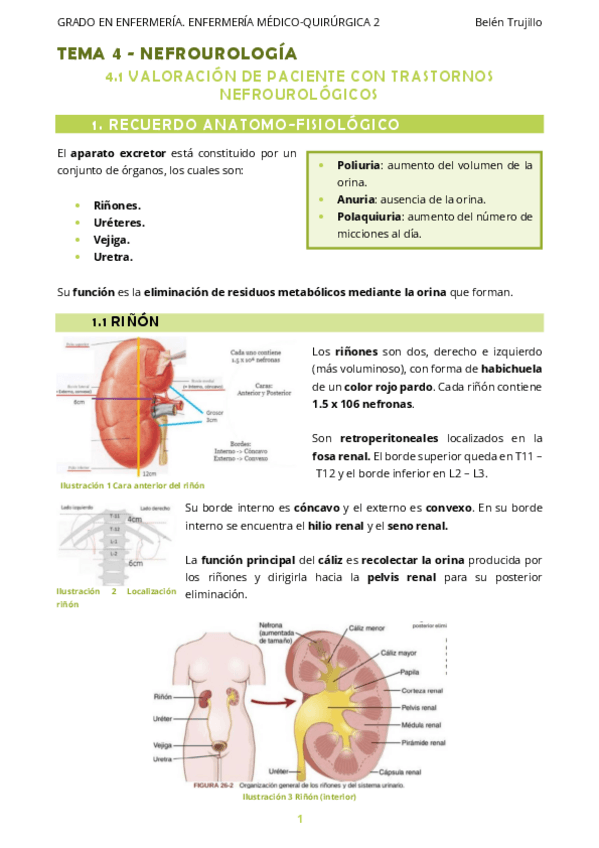 Miniatura del documento MQ2-Tema4-Nefrourologia-1Valoracion.pdf