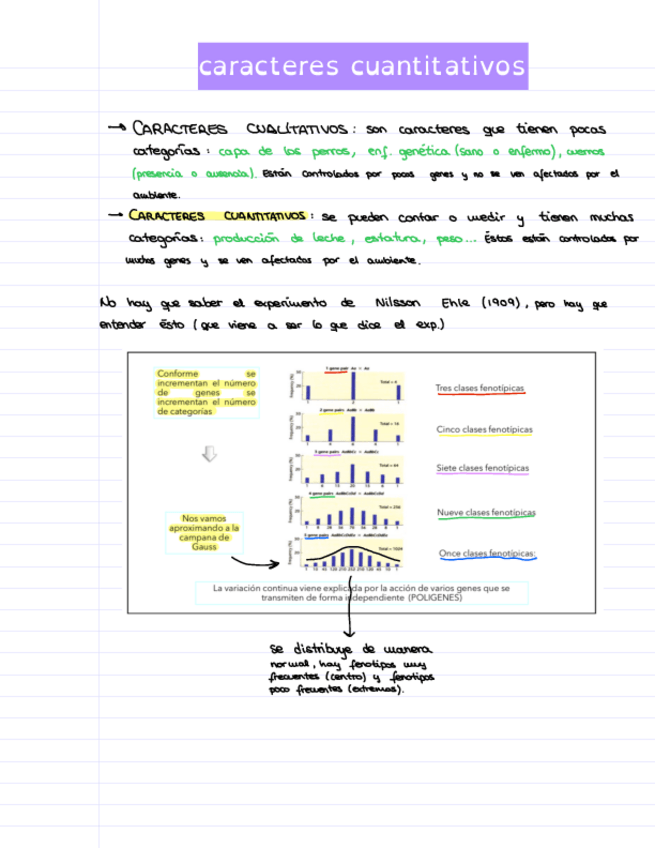 Miniatura del documento APUNTES-GENETICA-TEMA-1-AL-5.pdf